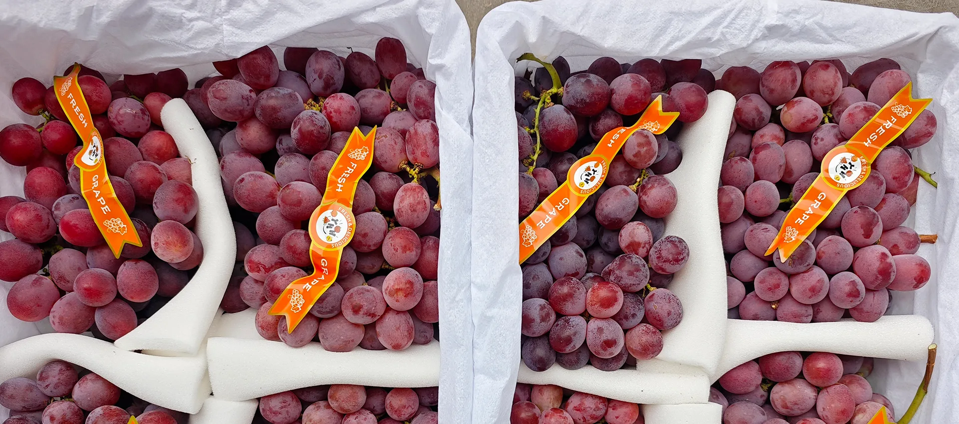 Haina Premium Fresh Grapes Kaiwhakarato