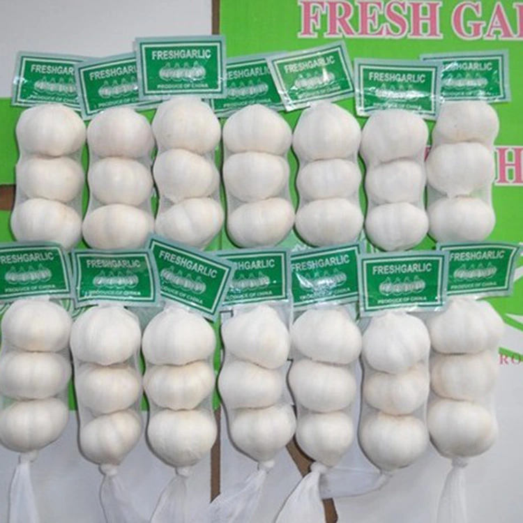 He aha te Premium Fresh Garlic te Kowhiringa Pai mo nga Kaihoko Kounga-Moohio?