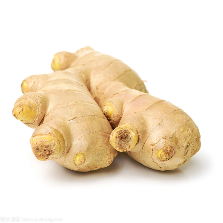 He aha te mea ko Premium Fresh Ginger te Kowhiringa Pai mo nga Kaihoko Maatauranga-Kounga?