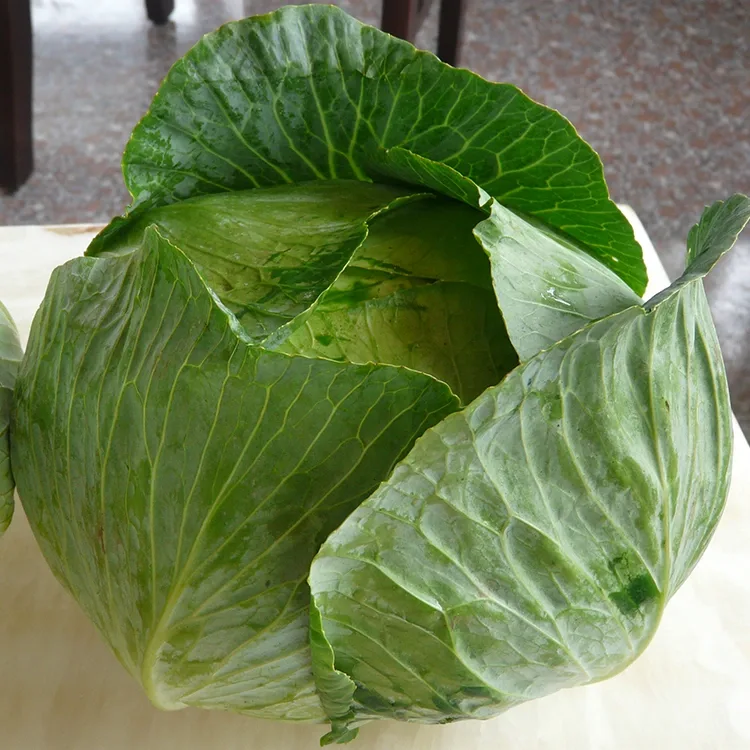 Kāpeti Hou Crisp