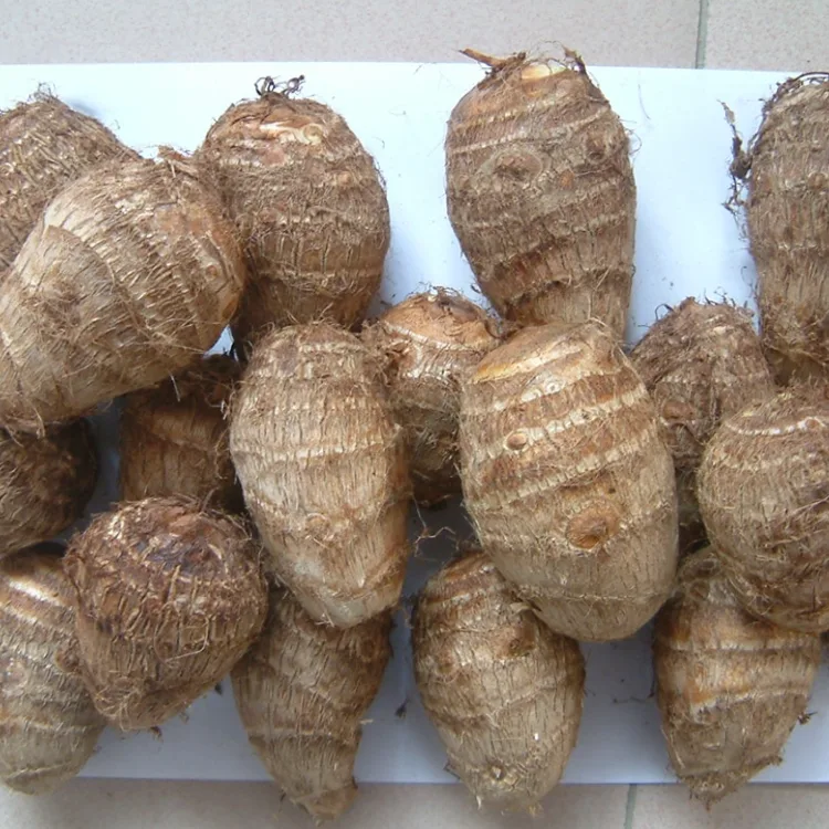 Te Marae Taro Hou
