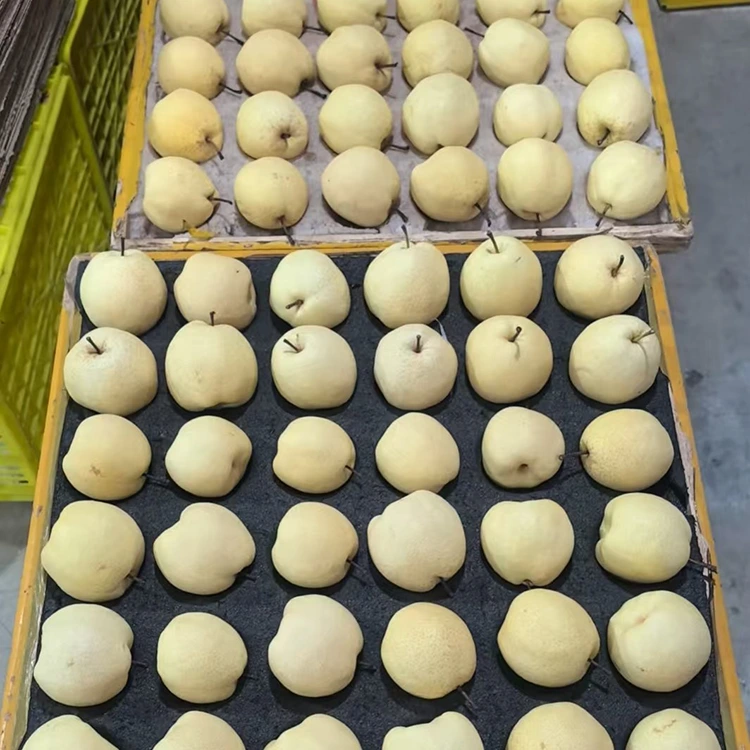 Ko nga Pear Gong hou