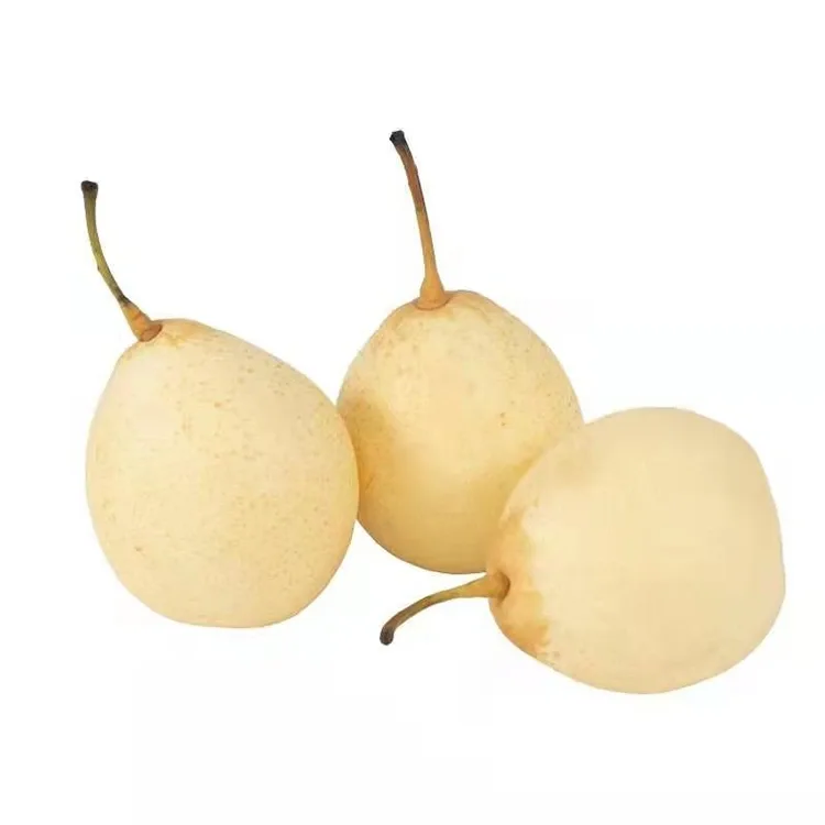 Ya Pear Hou Kohia