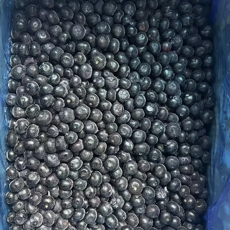 Blueberry Tioriki Premium IQF Blueberries