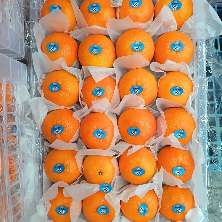 Premium hou reka Wogan Mandarins