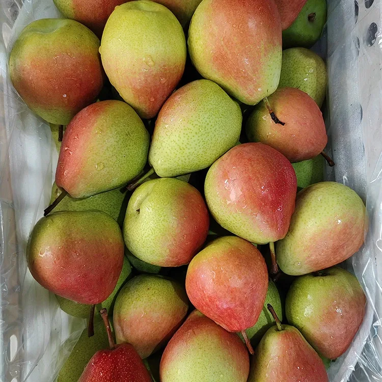 Kore-a-ringa-a-ringa-a-ringa-a-Rohe-Whero Hurae Whero Pear